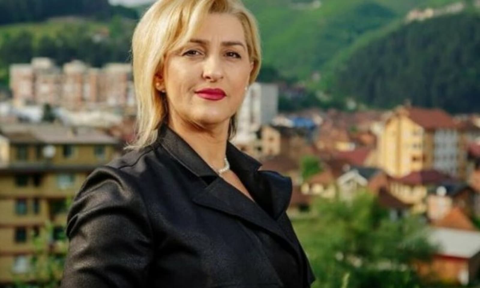 Zoronjić: Glasat ću za smjenu Leposavića!  - slika 1