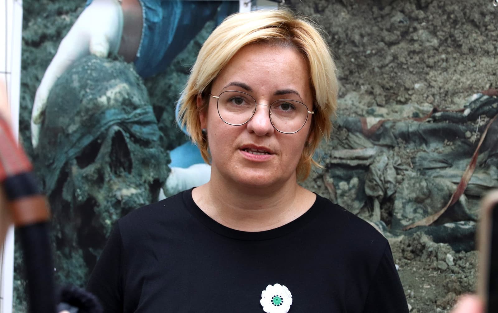 Ribo: Sve stranke u Austriji sutra glasaju o rezoluciji o Srebrenici - slika 1