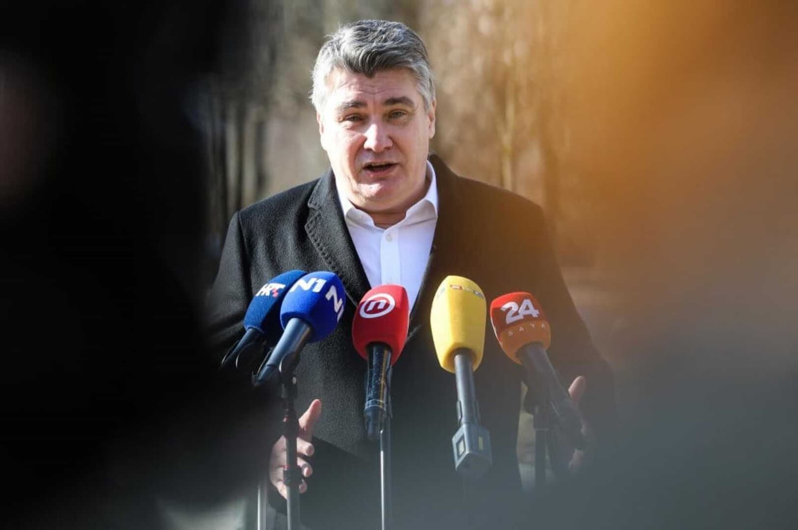 Milanović se obrušio i na Ahmetovića: Sponzor rezolucije Bundestaga se vjerovatno zove Muhamed - slika 1