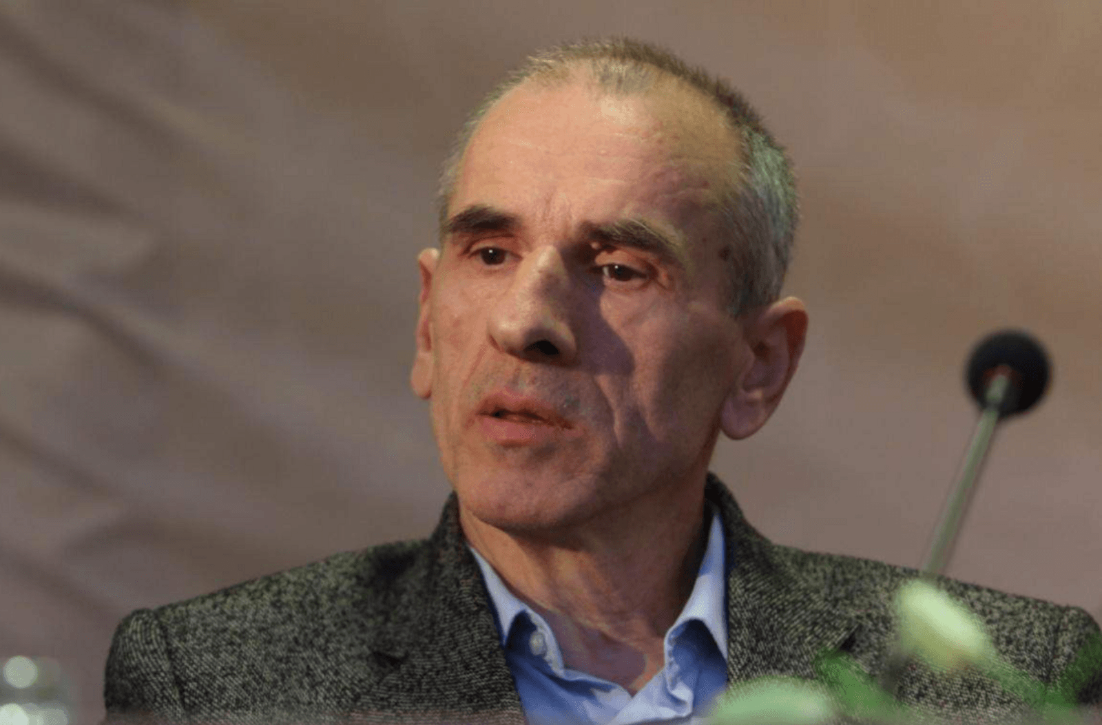 Akademik Rešid Hafizović: Hobotnica nad Bosnom   - slika 1