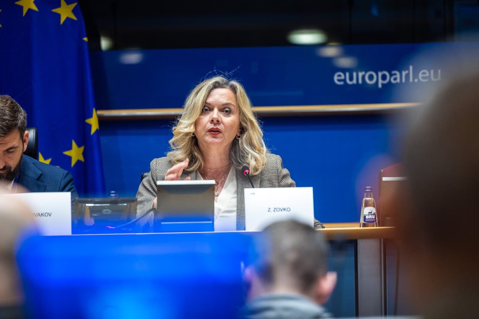 Zovko u Evropskom parlamentu opet traži treći entitet - slika 1