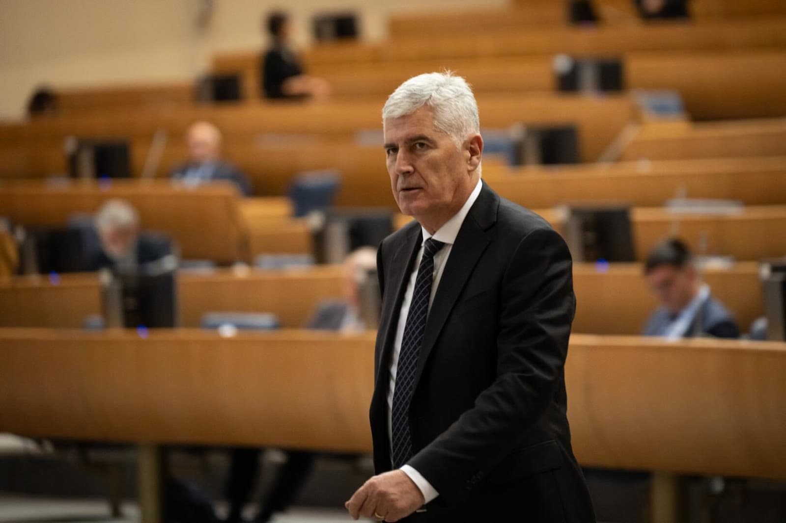 Čović: Novi visoki predstavnik imat će mandat od dvije godine i reducirane ovlasti - slika 1