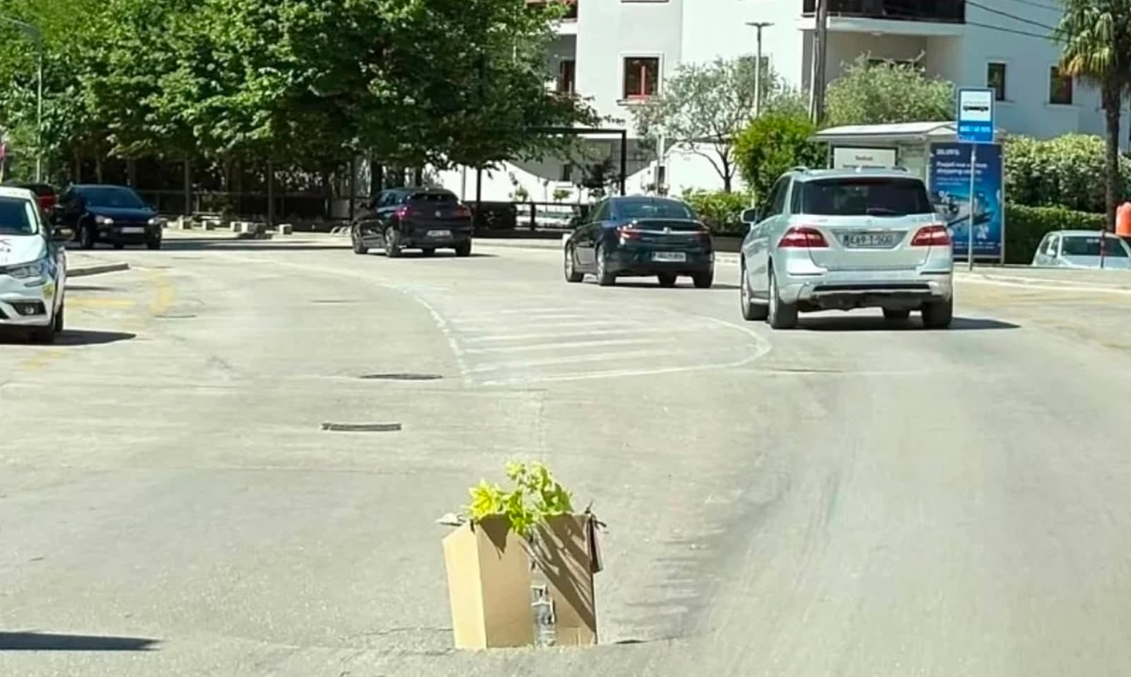 Rupa na cesti u Mostaru označena kartonskom kutijom i granom - slika 1