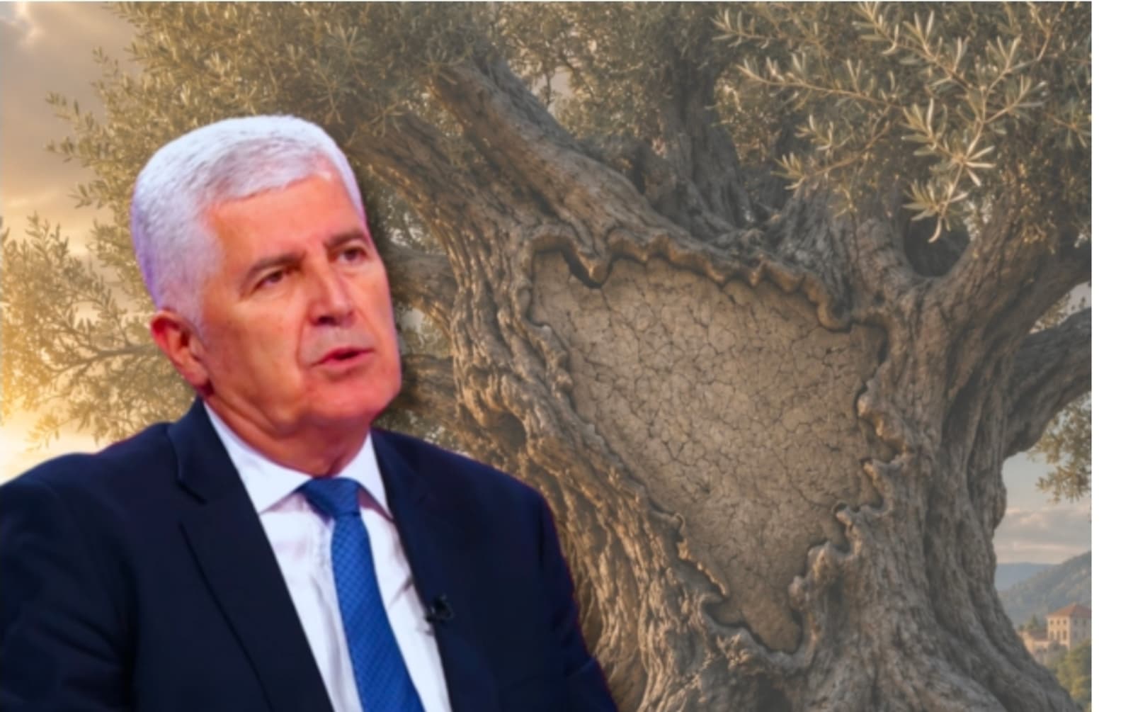 Čović poredio BiH sa maslinom: Visoki predstavnici ne znaju održavati tu kulturu - slika 1