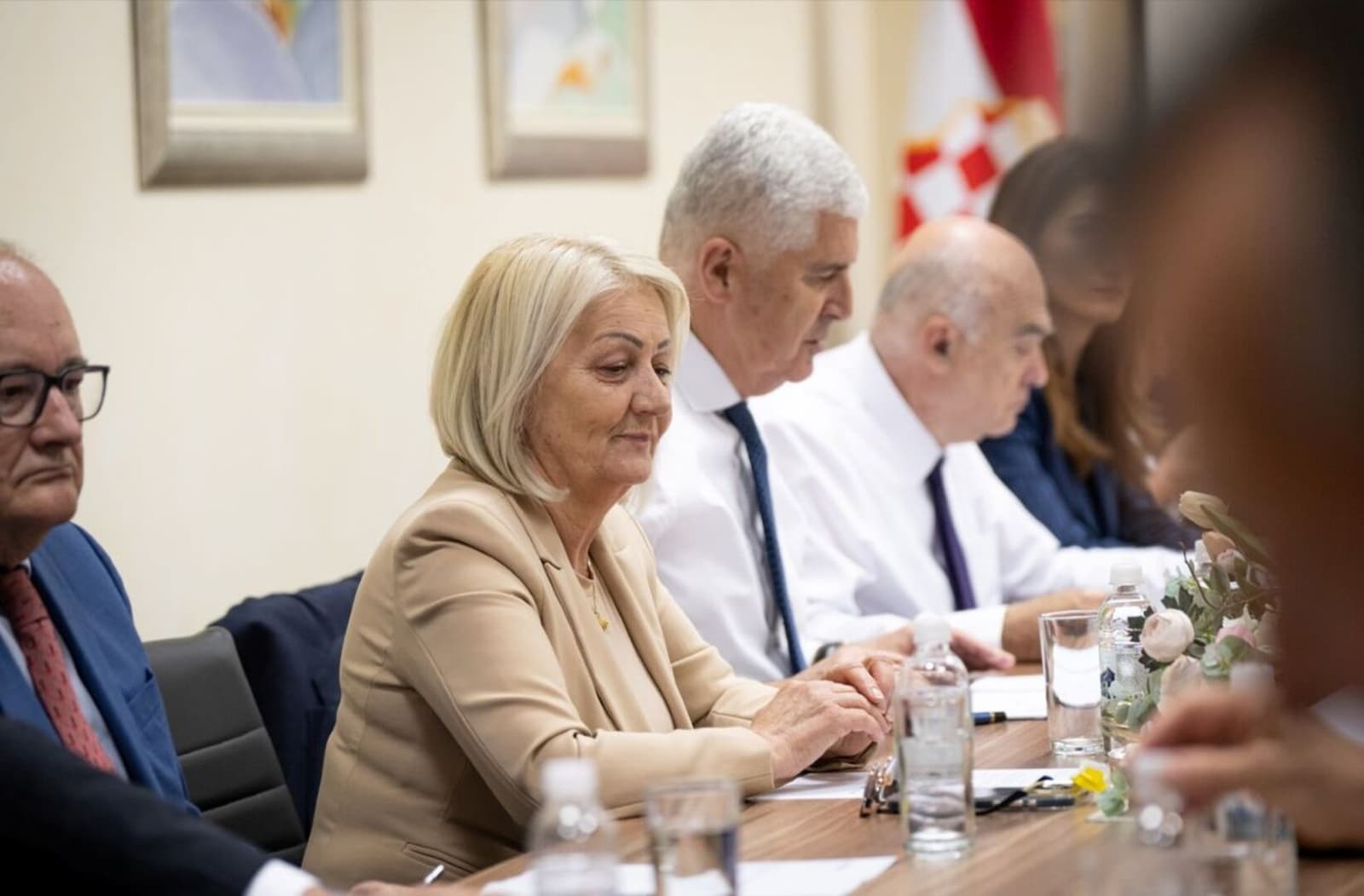 Rasprava u Čovićevom društvu: Lučića treba skloniti - slika 1