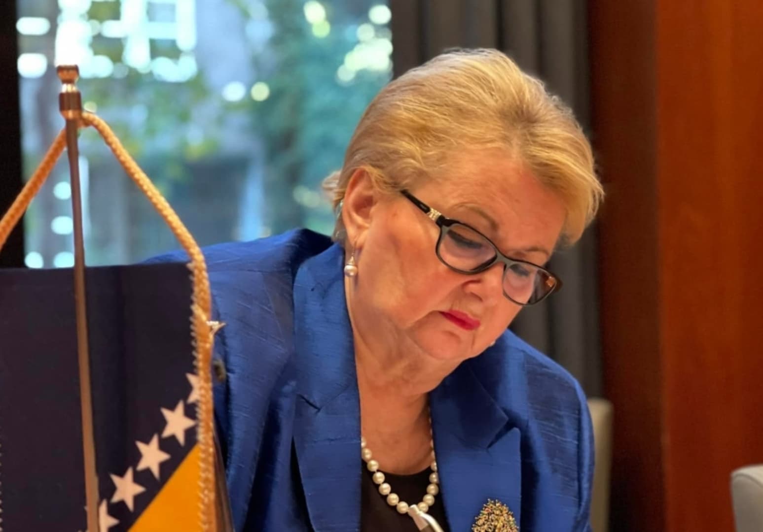 Bisera Turković: Mjesec dana ne radi biometrijski sistem u ambasadama, vlast mora odgovarati - slika 1