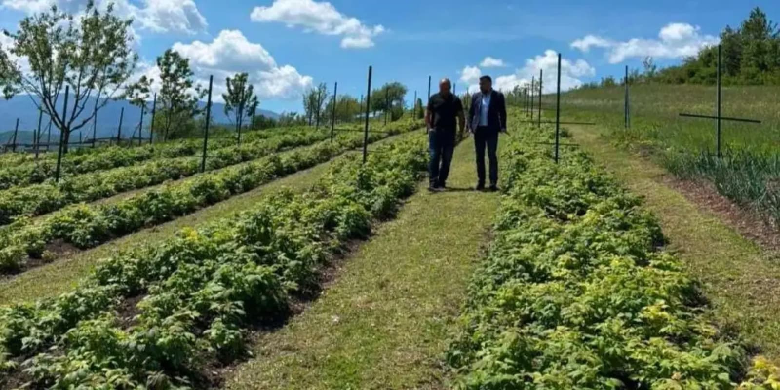 Test za glavni popis 2026. godine - slika 1
