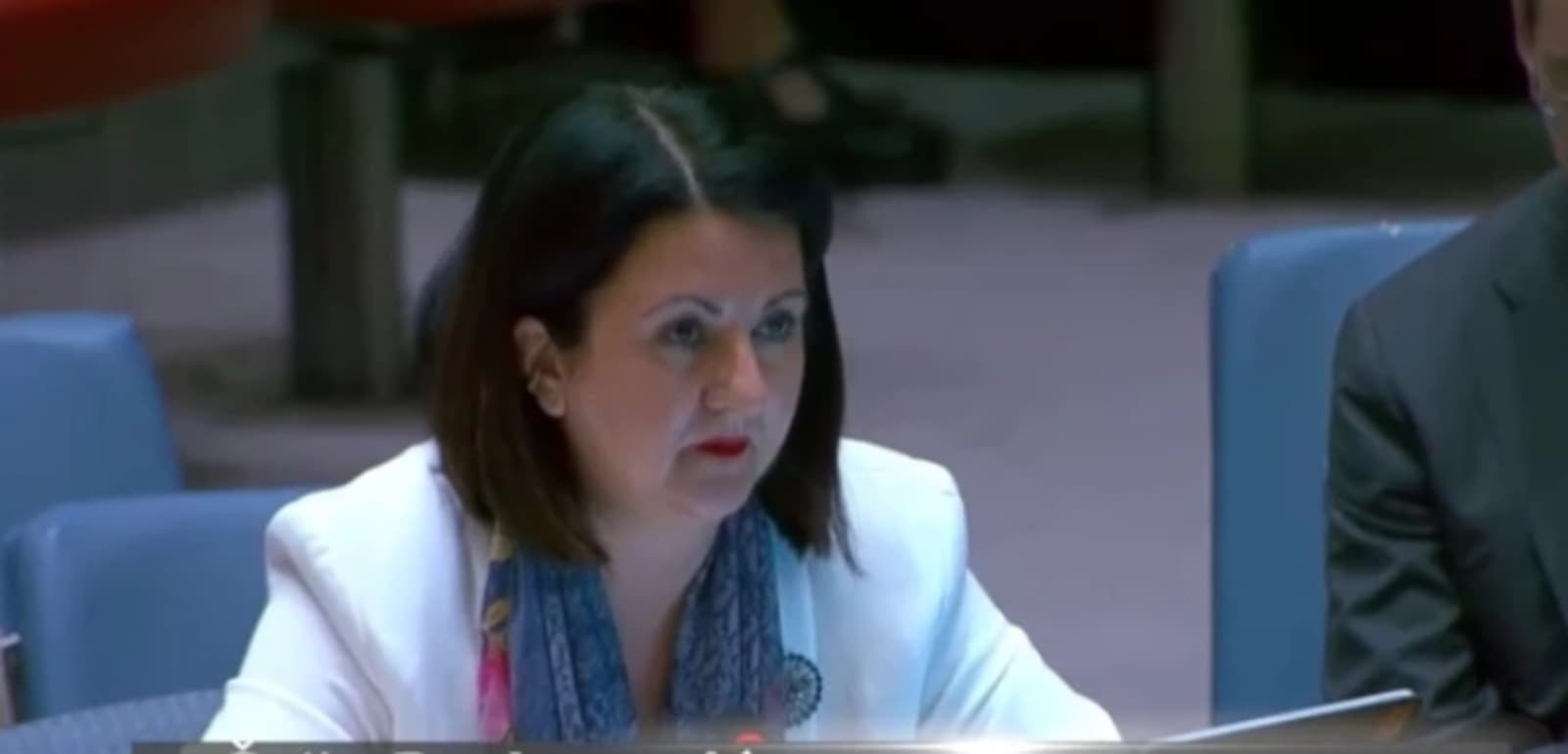 Đurbuzović održala lekciju u UN-u svima koji traže slobodu za Mladića - slika 1