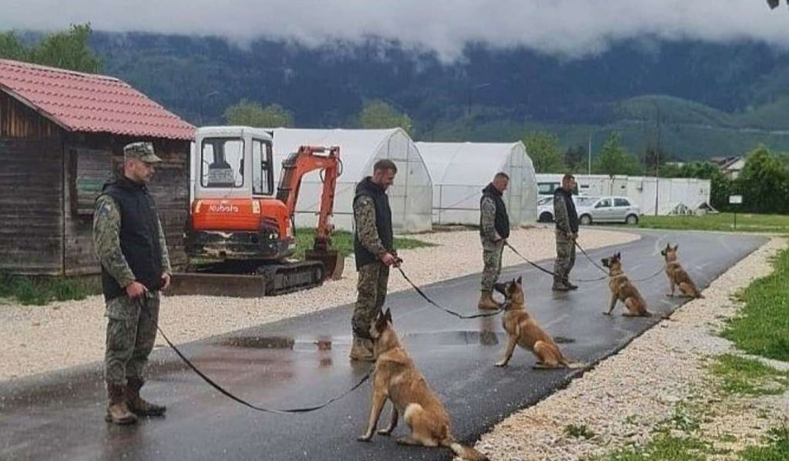 Norveška donirala Oružanim snagama BiH tri deminerska psa - slika 1