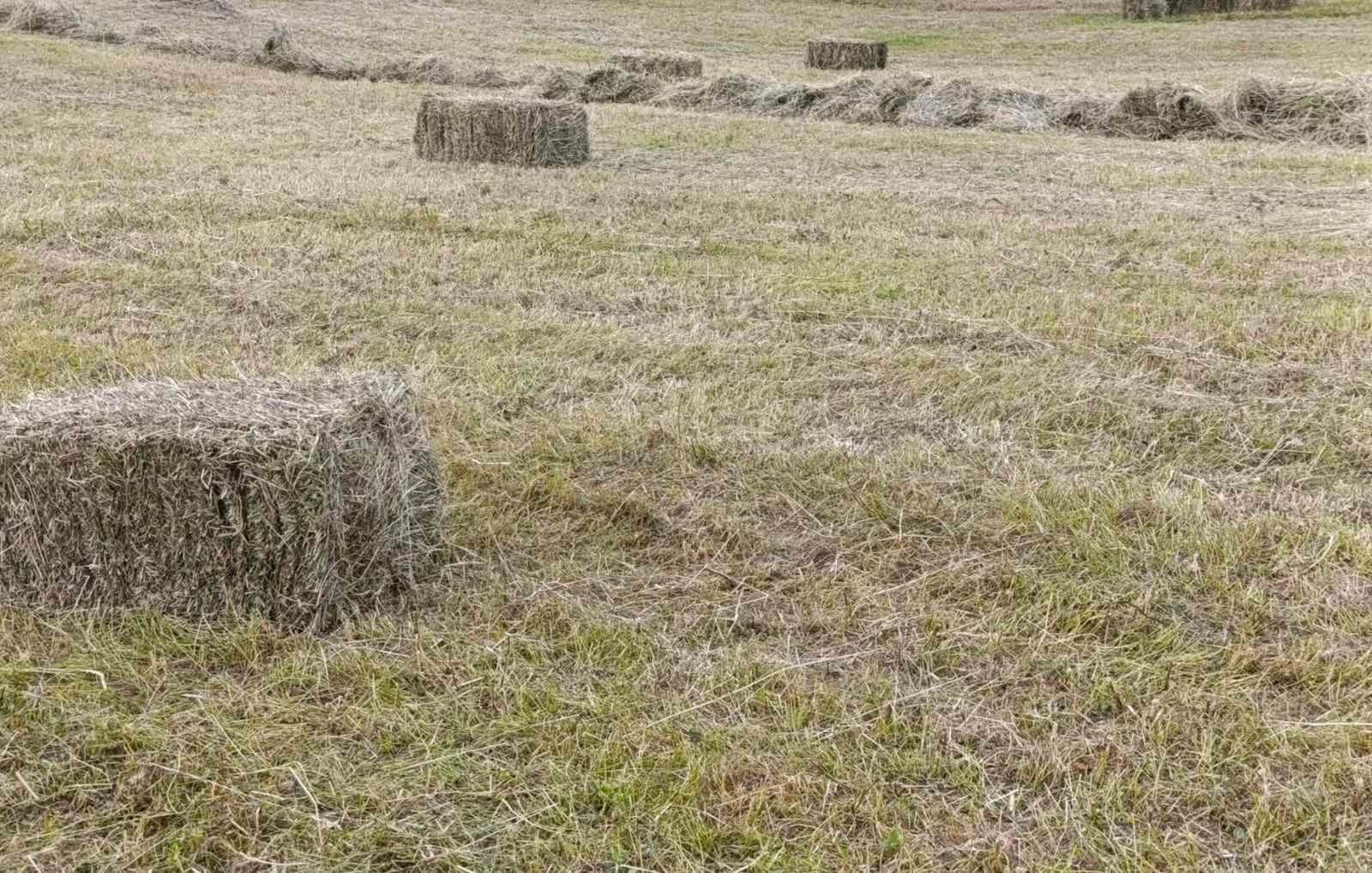 Za poljoprivredu u TK 16,5 miliona KM - slika 1