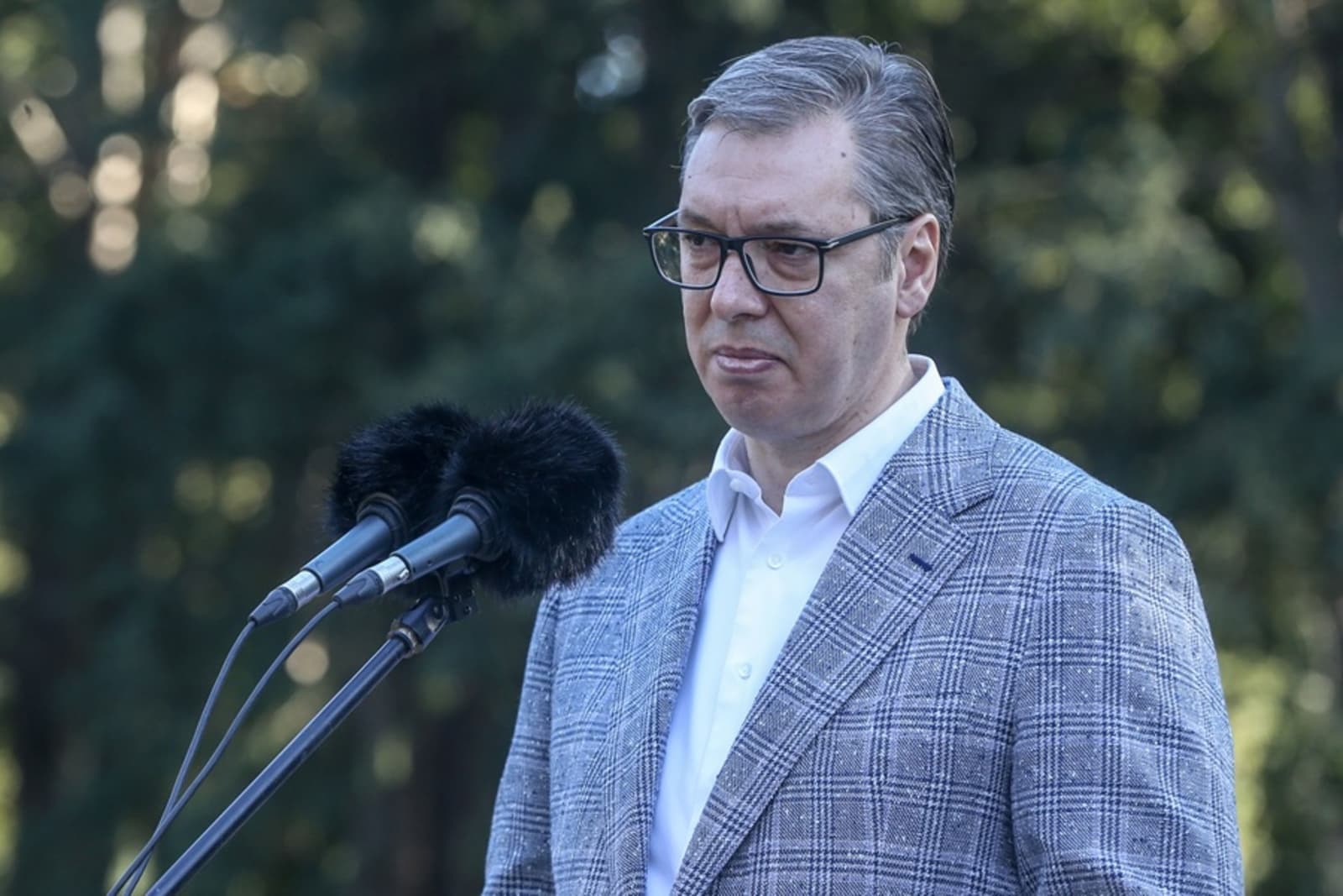 I kamen za kupus je bolji od Vučića - slika 1