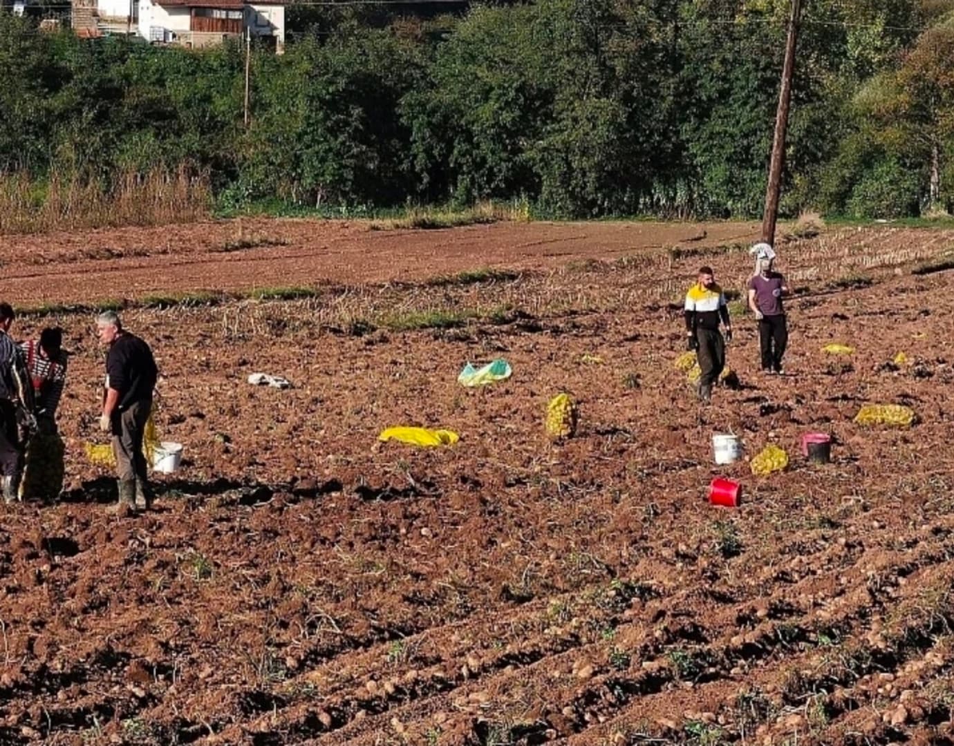 Kriza lomi tuzlansku poljoprivredu: Za spas mlijeka, voća i stočarstva namijenjeno 16 miliona KM - slika 1