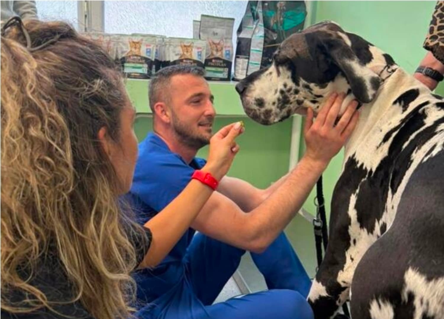 Sarajevo dobilo jedan od najmodernijih veterinarskih centara u BiH - slika 1