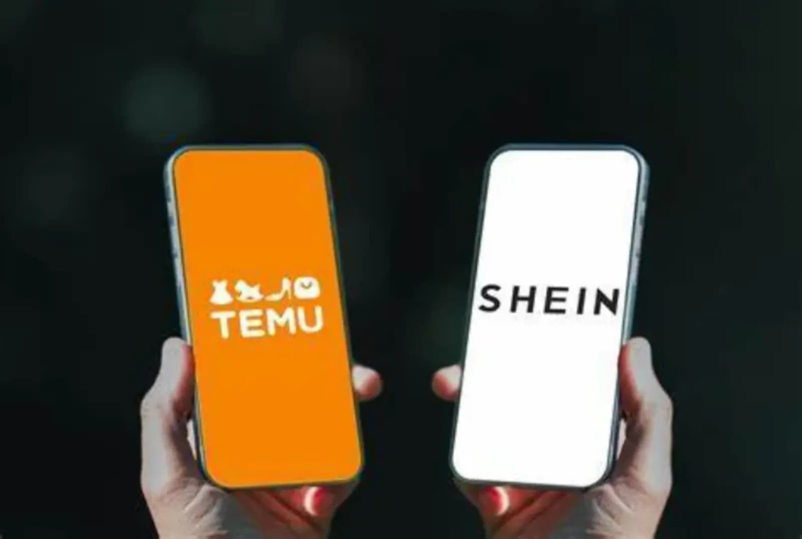 Kraj jeftine kupovine sa Temua - slika 1