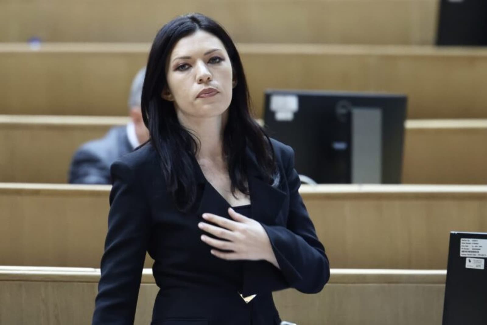 Vulić: O državnoj imovini trebaju razgovarati legitimni predstavnici - slika 1