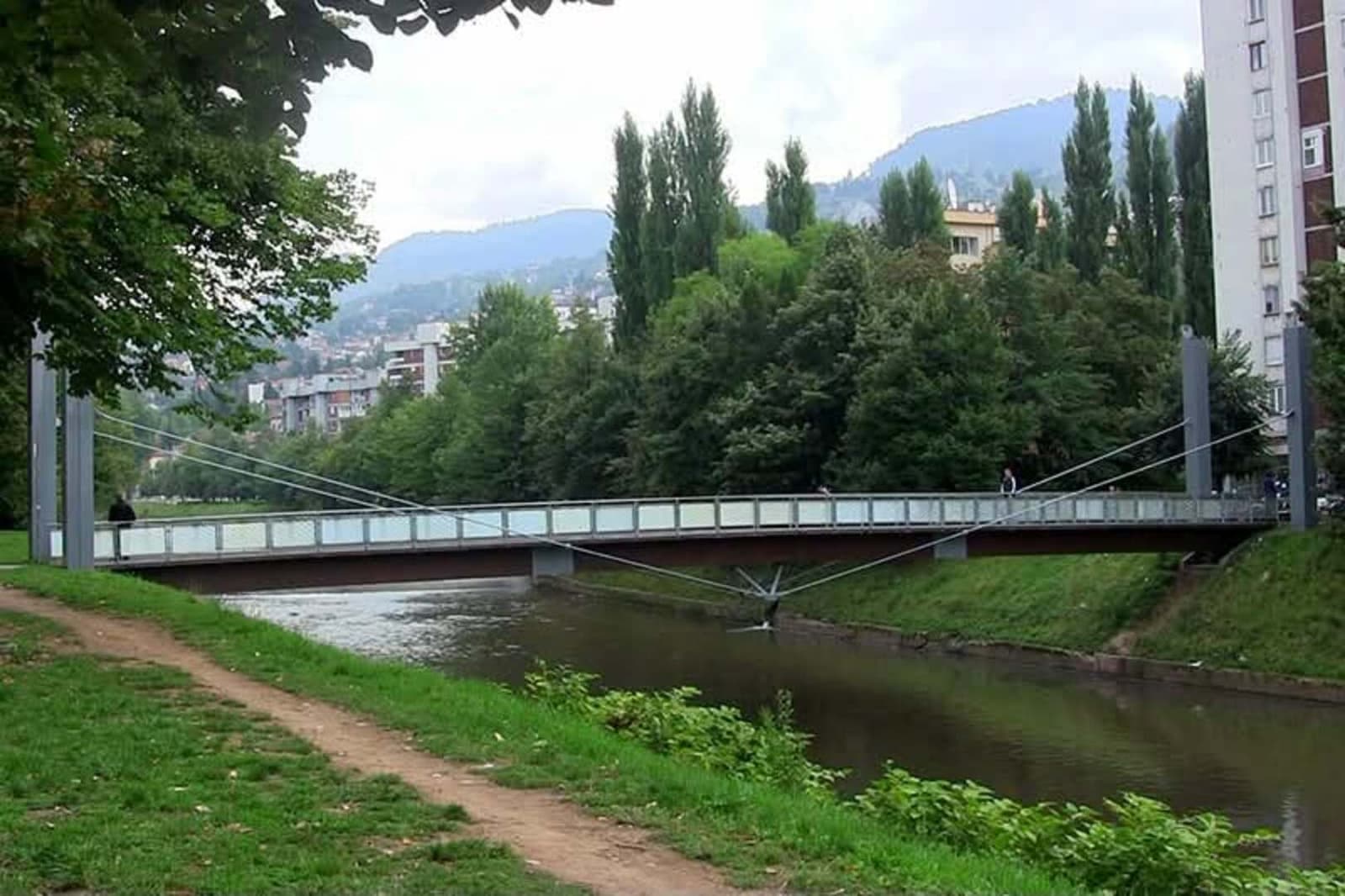 Karić odgovorila Miokoviću: O pitanjima struke ne treba govoriti bez znanja i činjenica - slika 1