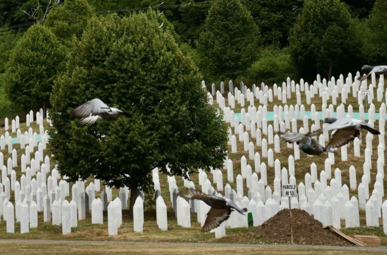 Mladi iz cijelog svijeta stigli u Potočare da uče o genocidu - slika 1