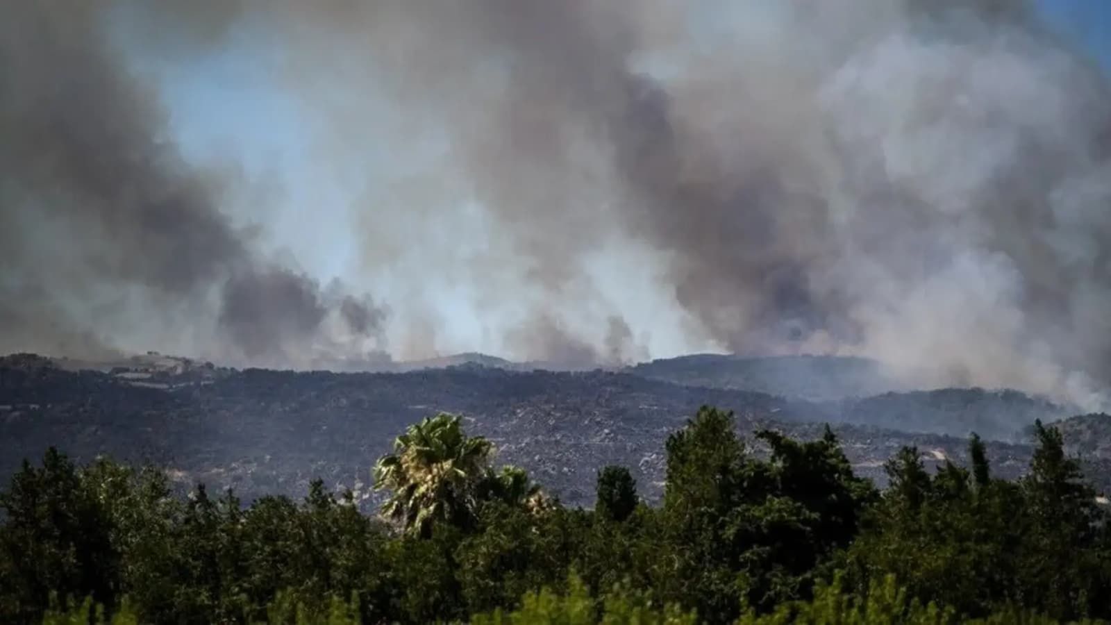 Pakleni talas i šumski požari u Francuskoj: Uhapšene 32 osobe zbog podmetanja vatre - slika 1