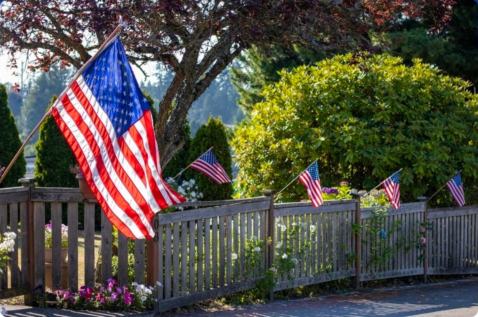 Gdje žive najveći patrioti na svijetu? - slika 1