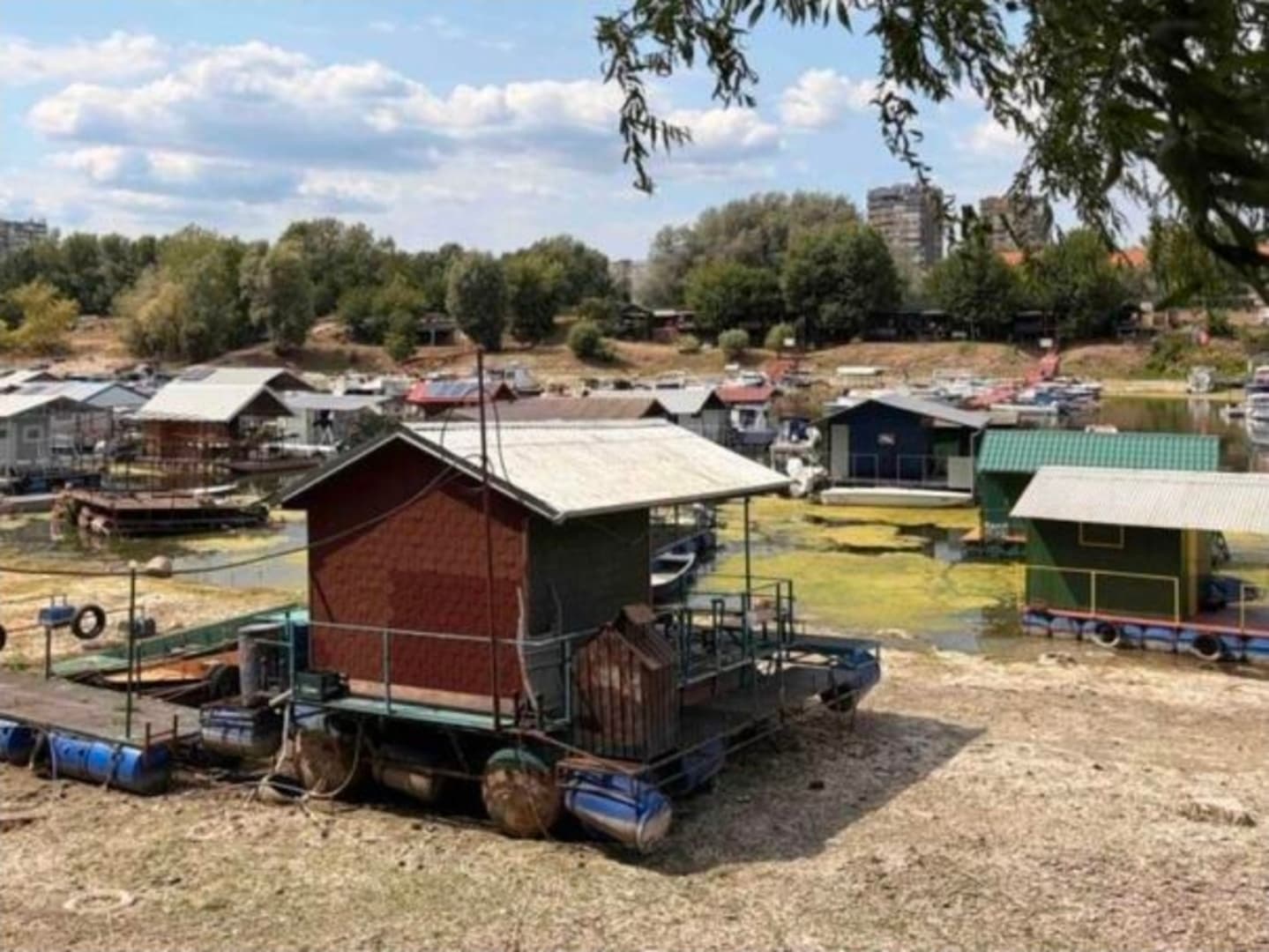 Dunav kod Novog Sada presušuje: Čamci ostali zarobljeni u blatu - slika 1