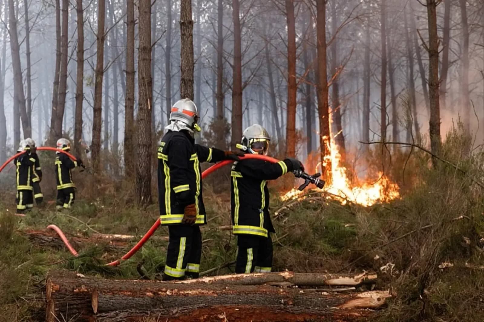 Bosna i Hercegovina ponudila pomoć Francuskoj za saniranje požara - slika 1