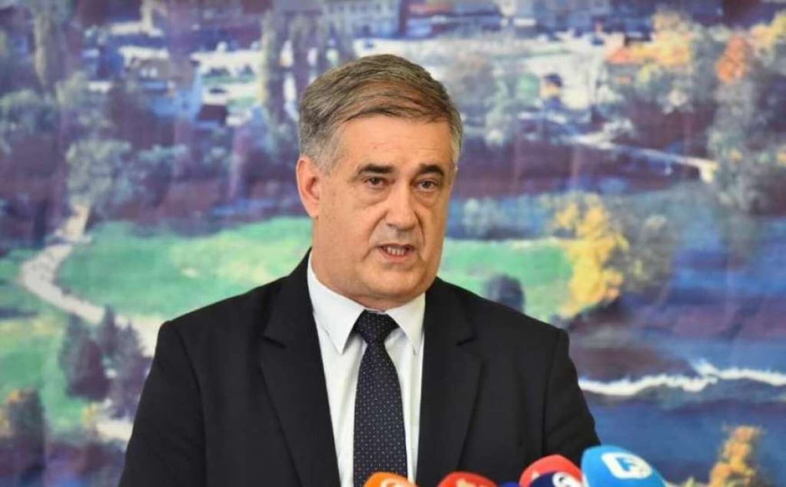 Šuhret Fazlić kritikovao Komšića: „Ne ide u Beograd, u Zagrebu ga nisu zvali, a ne smije ni u Široki Brijeg“ - slika 1