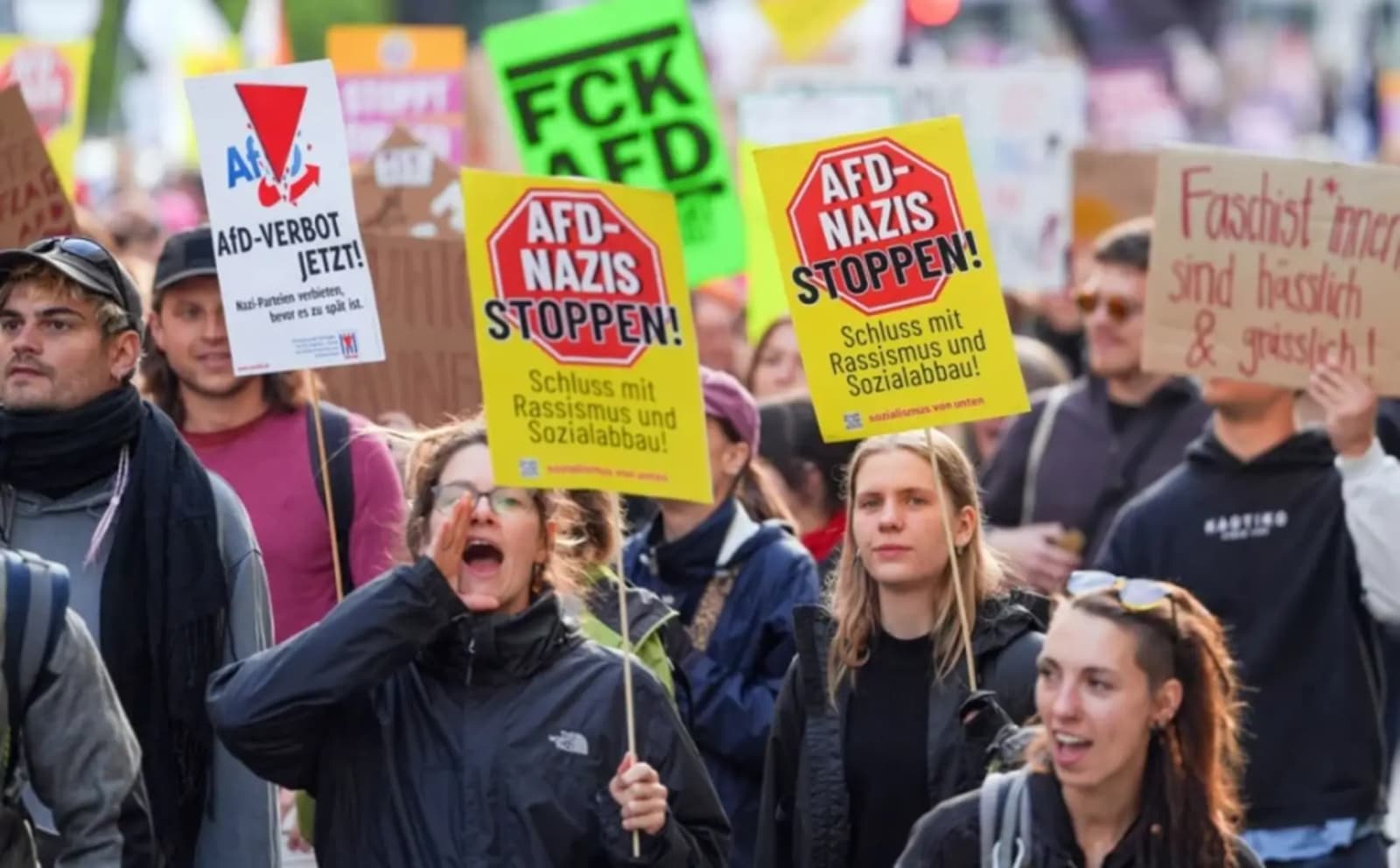 Više od 1.000 pravnika traži zabranu esktremno desničarske stranke AfD - slika 1
