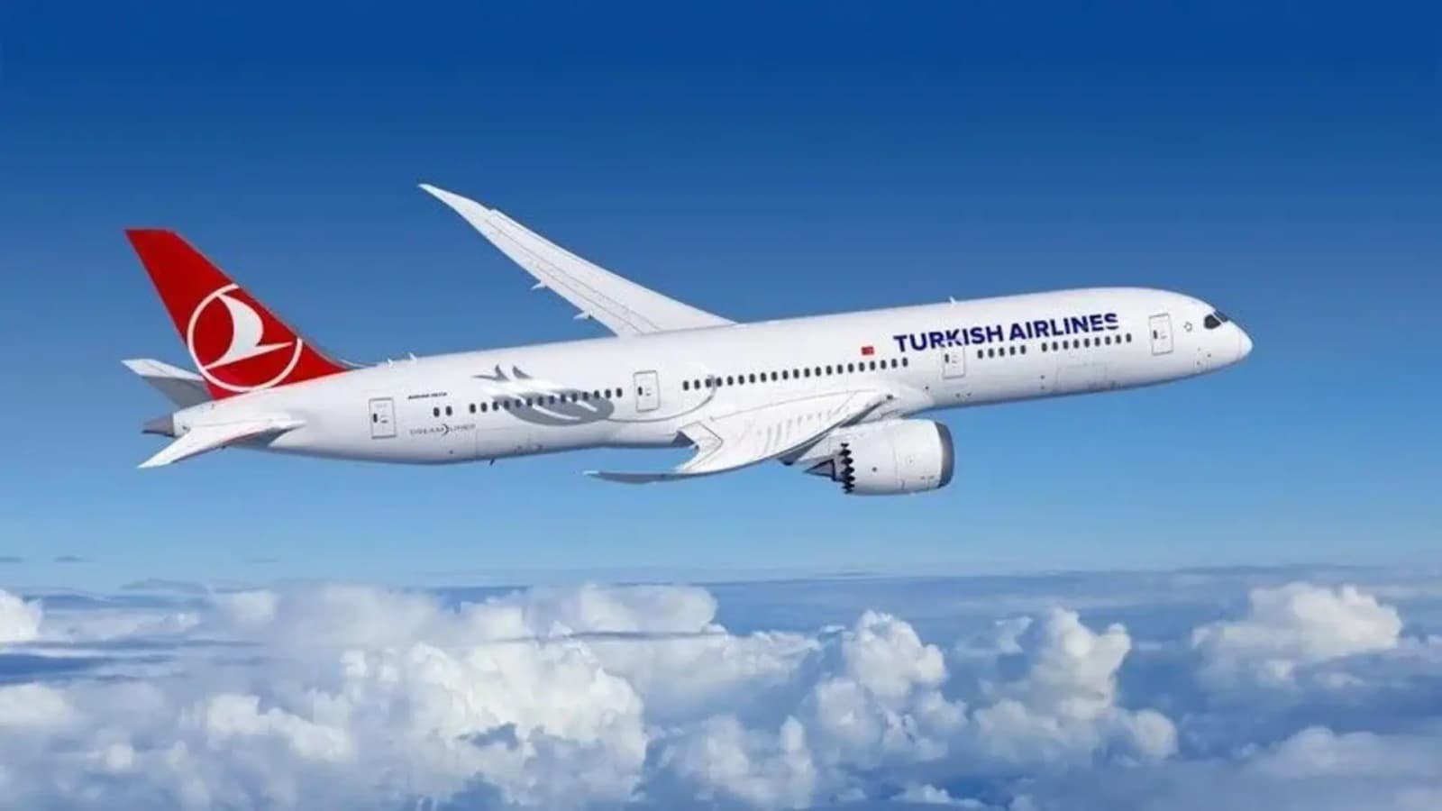 Pad neto dobiti i snažan rast prihoda: Turkish Airlines objavio finansijske rezultate za prvih šest mjeseci - slika 1
