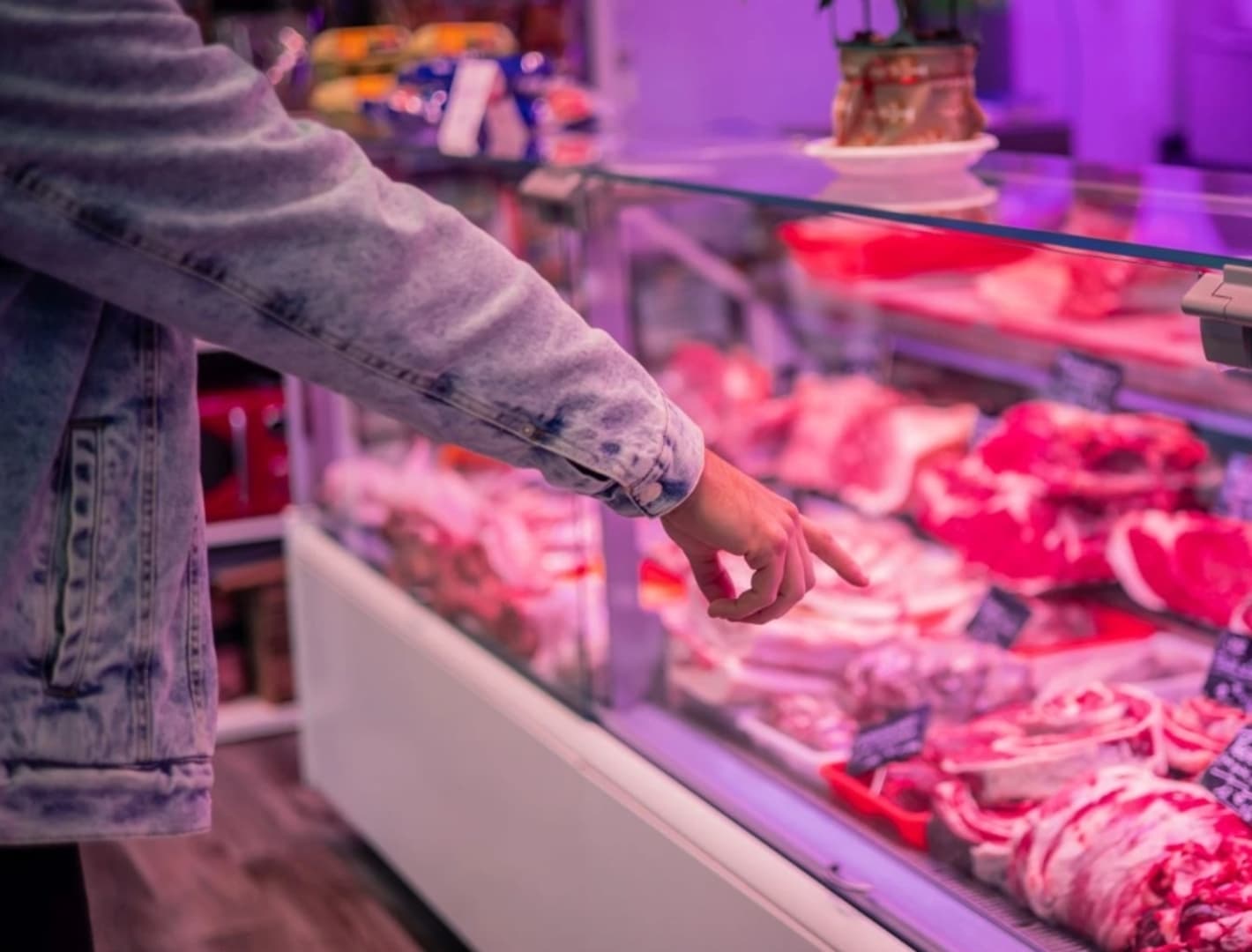 UIO BiH češlja mesnice, građevinske firme, mikrokreditne organizacije... - slika 1