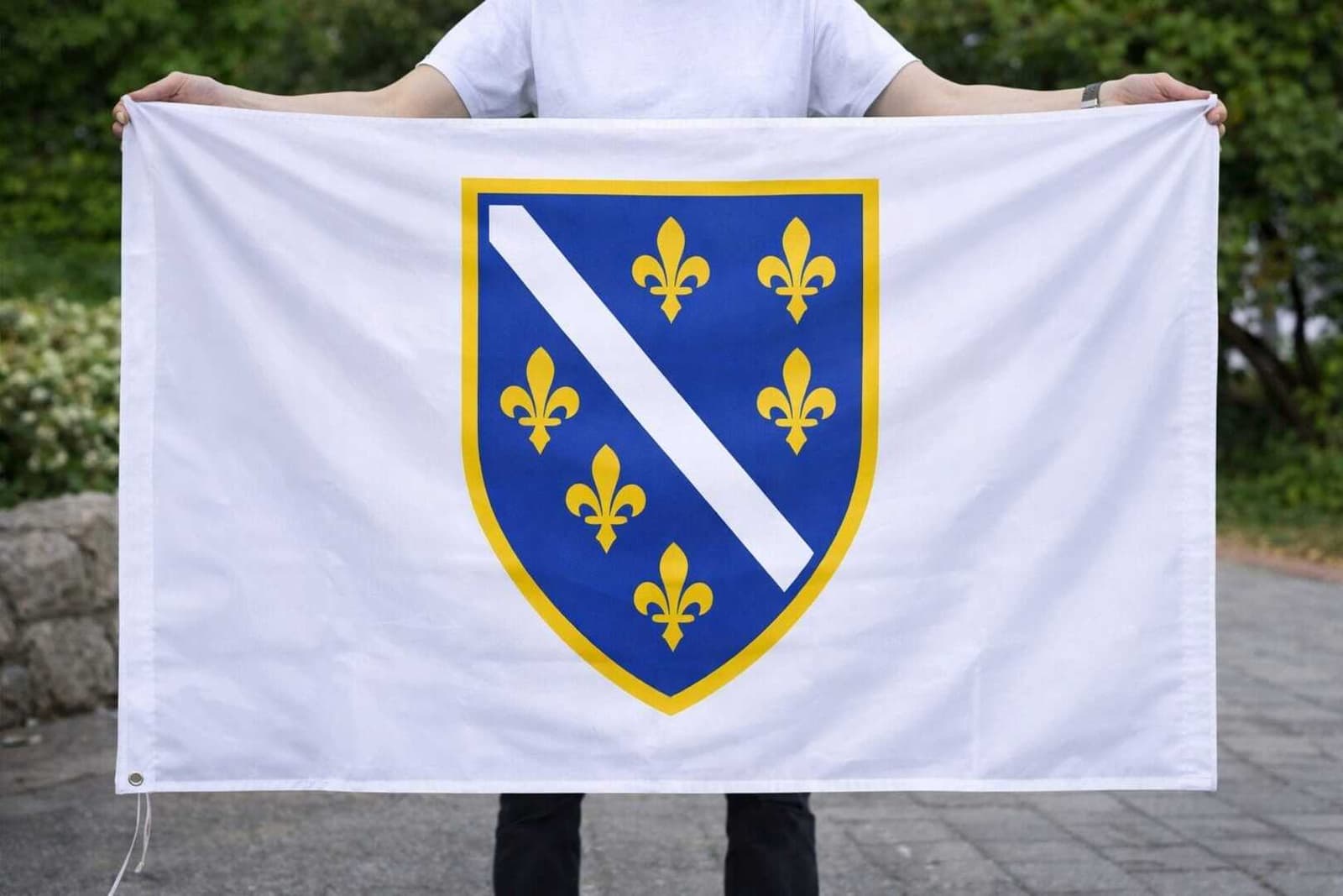 Ustavni sud Rs donio odluku o zastavi s ljiljanima - slika 1