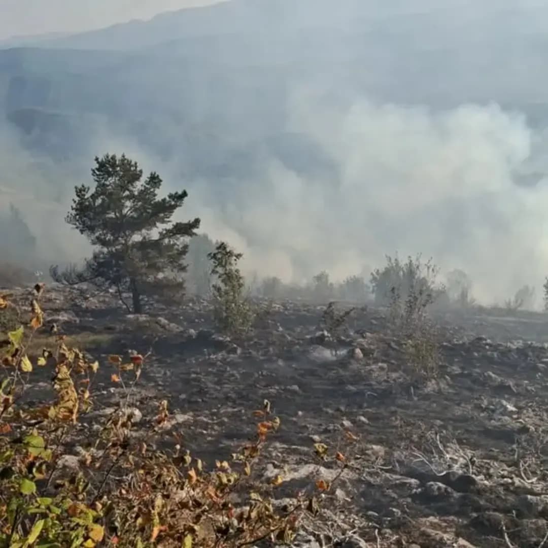 Od novca za zaštitu od požara do mostarske dvorane: Nikšiću, šta danas imate za građane? - slika 1
