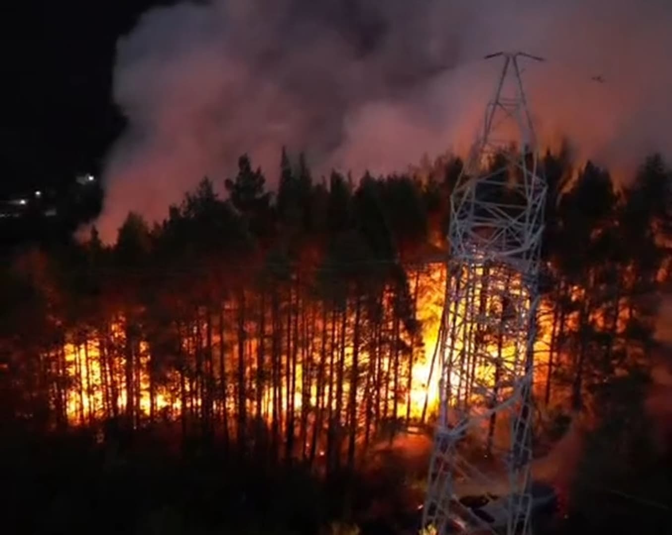 Vatra zahvatila borovu šumu u Konjicu, gradonačelnik kaže da je situacija sve teža - slika 1