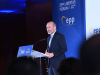 Weber: Veličanje Mladića je u oštroj suprotnosti s evropskim vrijednostima, Srbija potkopava povjerenje EU