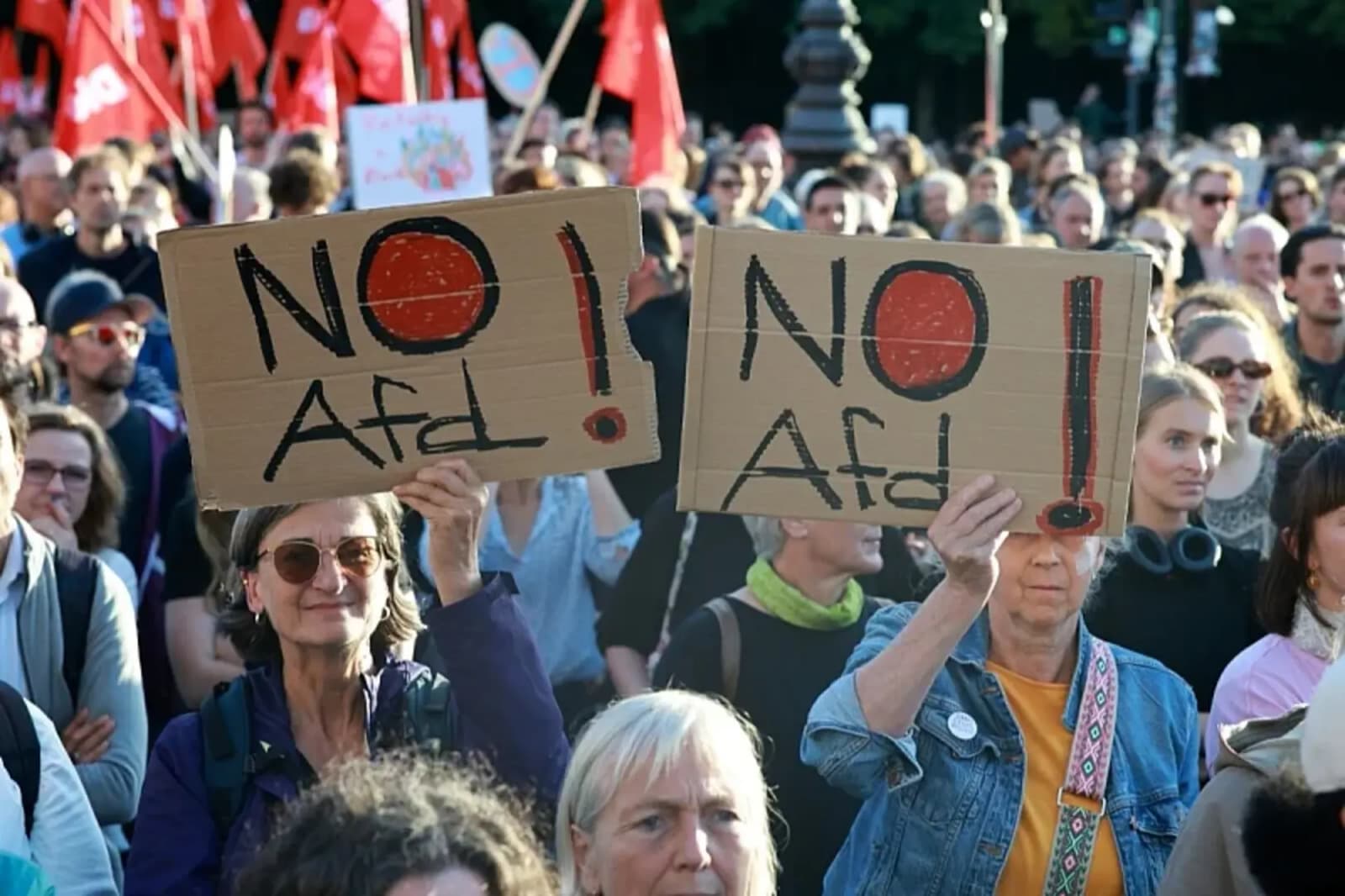 Porno glumac, tajni agent i ekstremisti: Kakve kadrove AfD dovodi u parlament Saksonije-Anhalt - slika 1