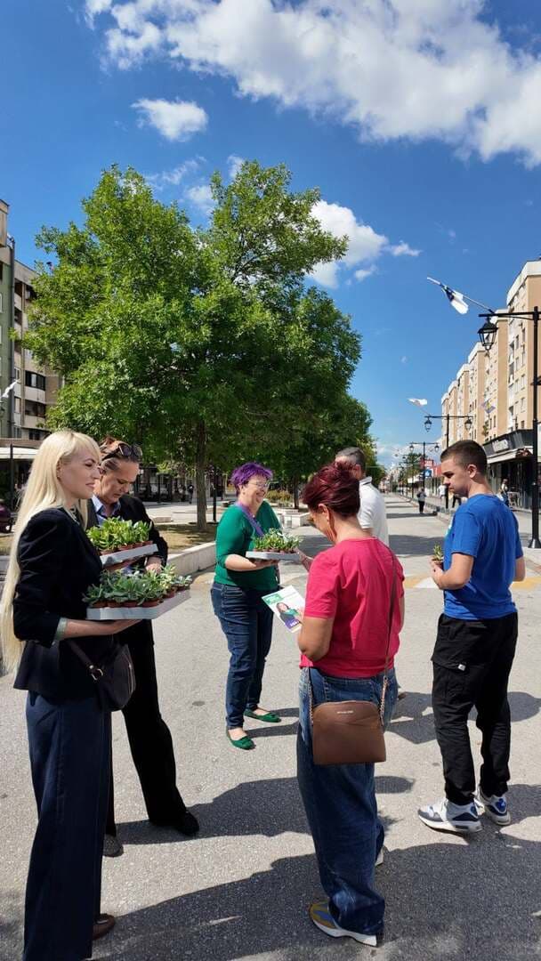 BH ZELENI kampanju preselili na ulice Sarajeva: Umjesto letaka građanima dijelili čuvarkuće - slika 4