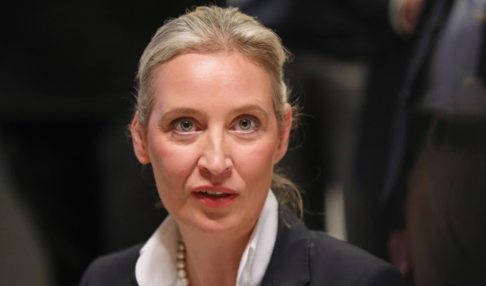 Liderka AfD-a upozorila: Prestat ćemo finansirati Ukrajinu i tražiti nadoknadu, ispitati naturalizaciju Sirijaca - slika 1