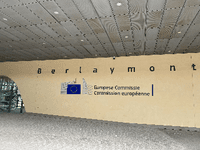 EU sprema promjene koje bi mogle biti važne i za BiH: Manje prostora za veto tokom pregovora o članstvu