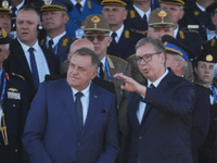 "Smrt Ratka Mladića došla je Dodiku i Vučiću kao najveća dobra vijest"