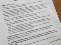 SDP poslao uputu članovima za kampanju: Ovo je sadržaj