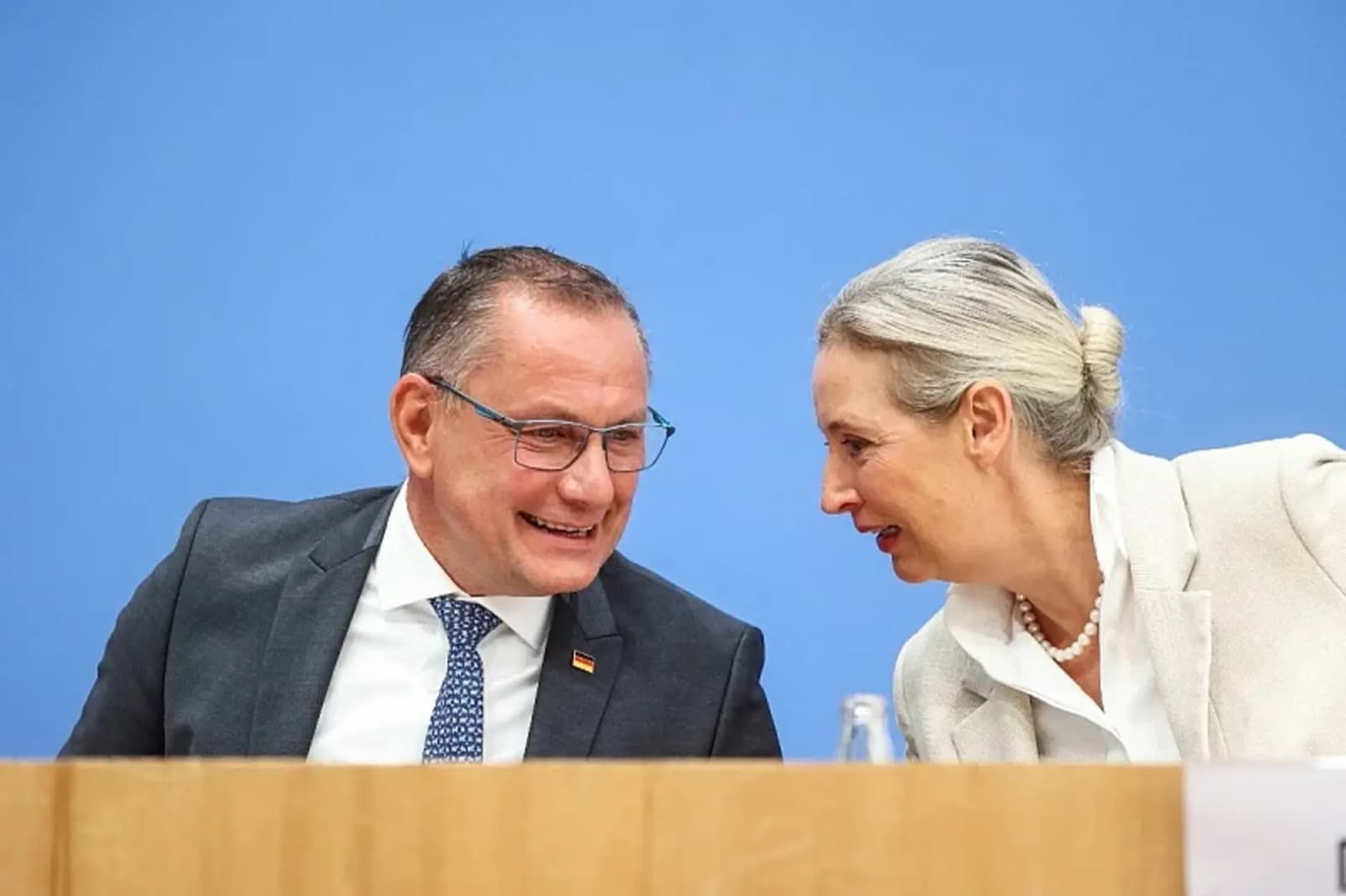 AfD planira tajni sastanak s Putinovim saradnikom: Žele da Njemačka ponovo kupuje ruski gas - slika 1
