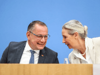 AfD planira tajni sastanak s Putinovim saradnikom: Žele da Njemačka ponovo kupuje ruski gas