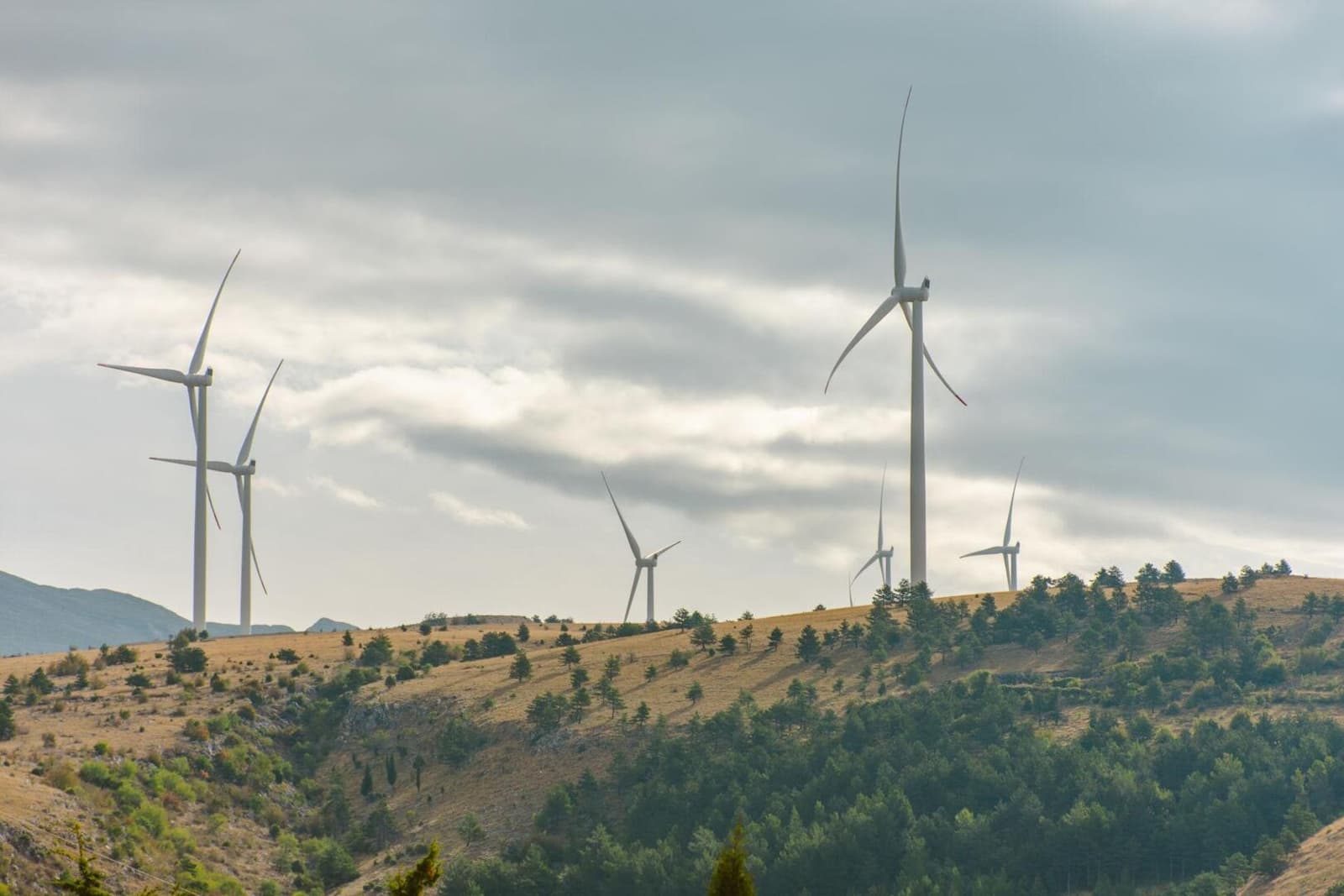 Njemačkih 65 miliona eura za vjetroelektranu kod Posušja: Poklečani bi proizvodnju EP HZHB-a povećali za petinu - slika 1