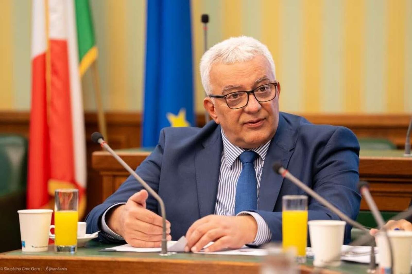 Skupština Crne Gore danas glasa o smjeni Andrije Mandića zbog veličanja zločina Mladića - slika 1