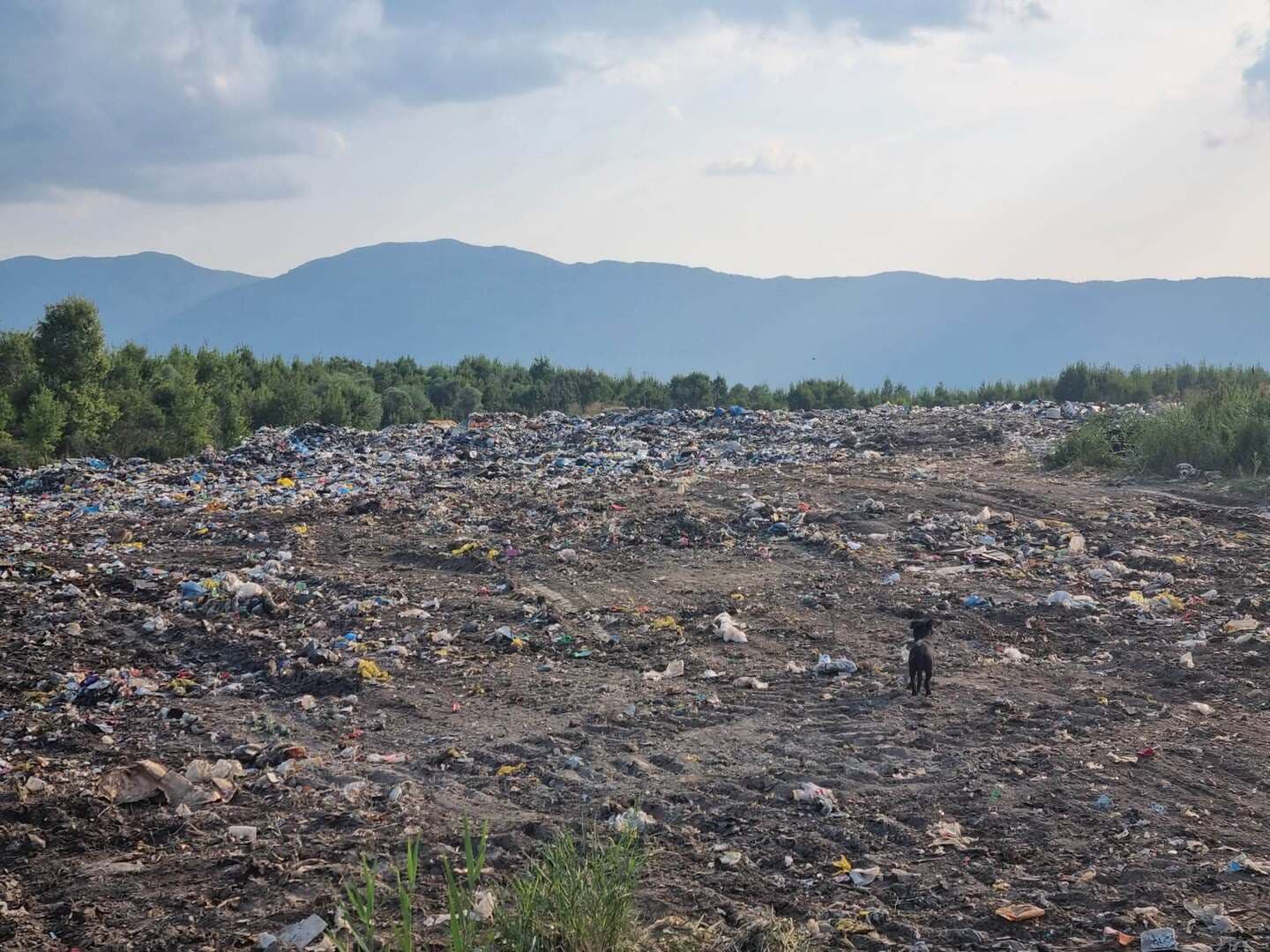 Vijeće ministara izdvojilo 500.000 KM za sanaciju posljedica požara na Uborku - slika 1
