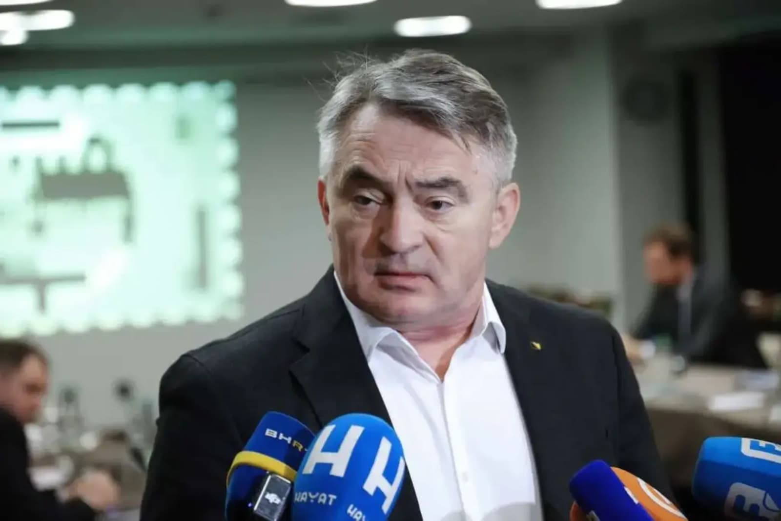 Komšić: Nikšiću i Efendiću sam ponudio da pravimo Vijeće ministara bez Dodika, nisu htjeli - slika 1