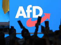 Uspon AfD-a izaziva nelagodu i među krajnjom desnicom u Evropi