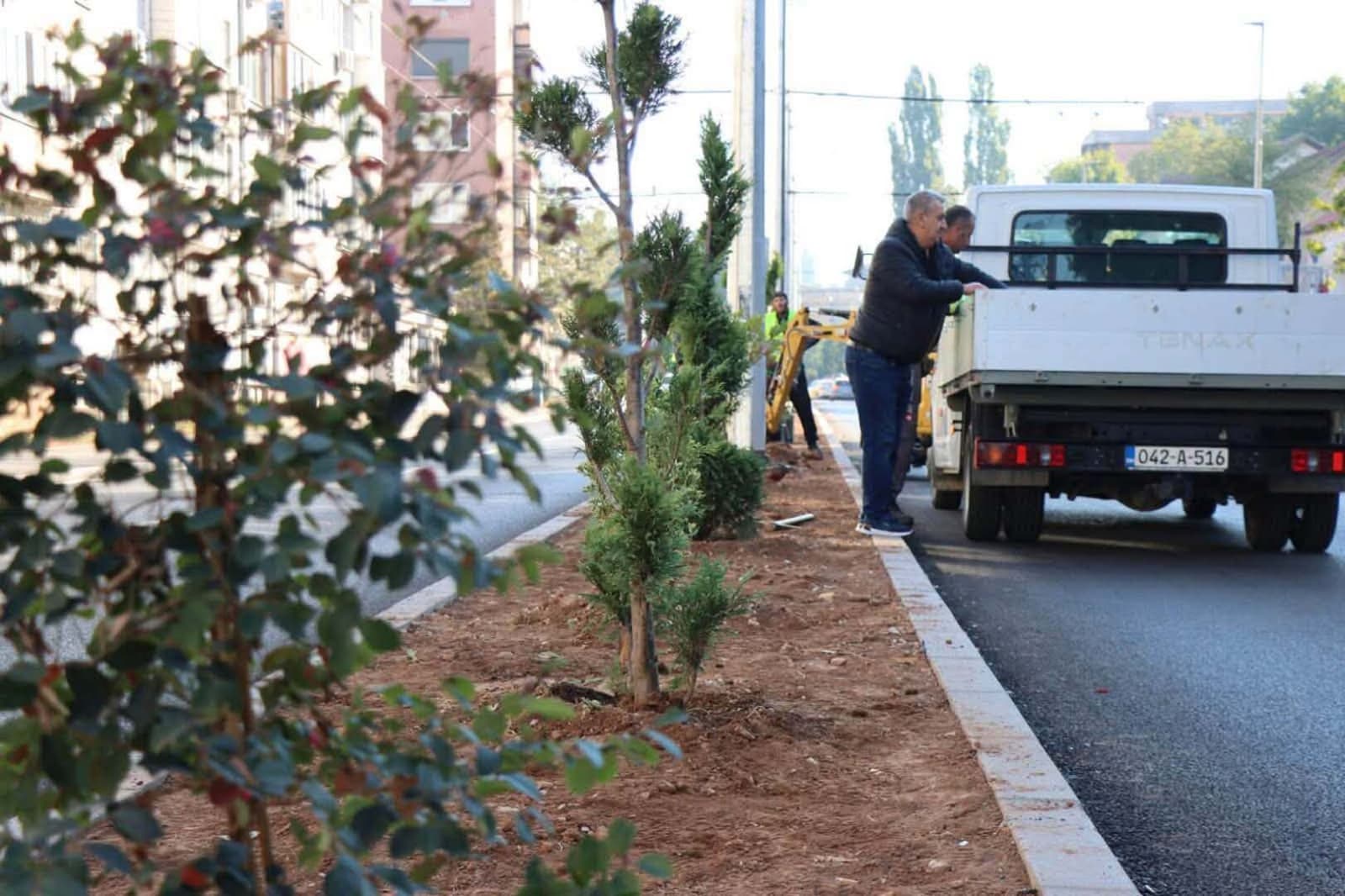 Novo ozelenjavanje Novog Sarajeva: Bit će posađeno još 120 stabala - slika 1