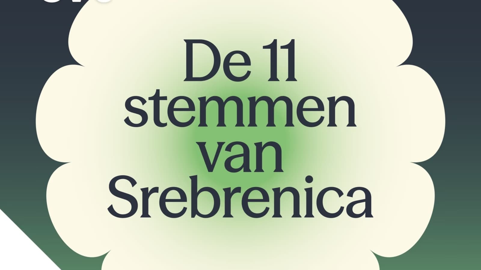 Belgijski medij ponovo skrenuo pažnju na „11 glasova Srebrenice“ - slika 1