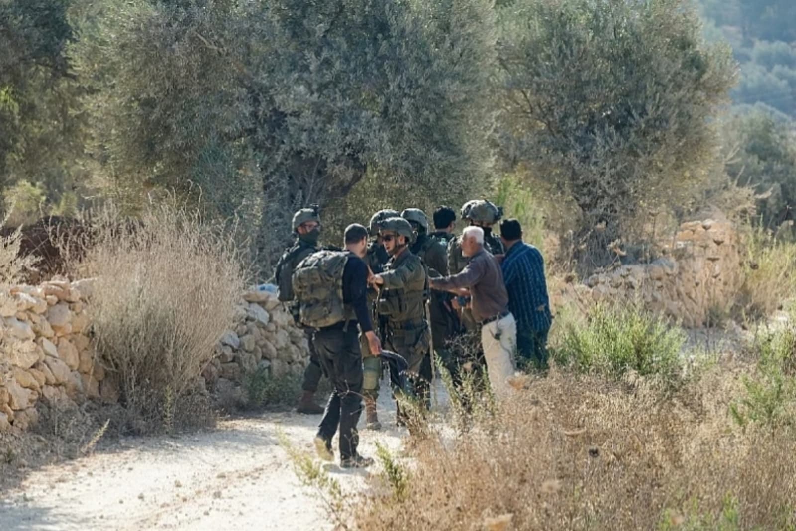 Izraelski doseljenici i vojnici sprečavaju Palestince u berbi maslina na Zapadnoj obali - slika 1