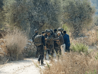 Izraelski doseljenici i vojnici sprečavaju Palestince u berbi maslina na Zapadnoj obali